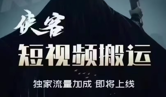 侠客电脑版-购买自动发下载地址和卡密，不退换谢谢---年卡